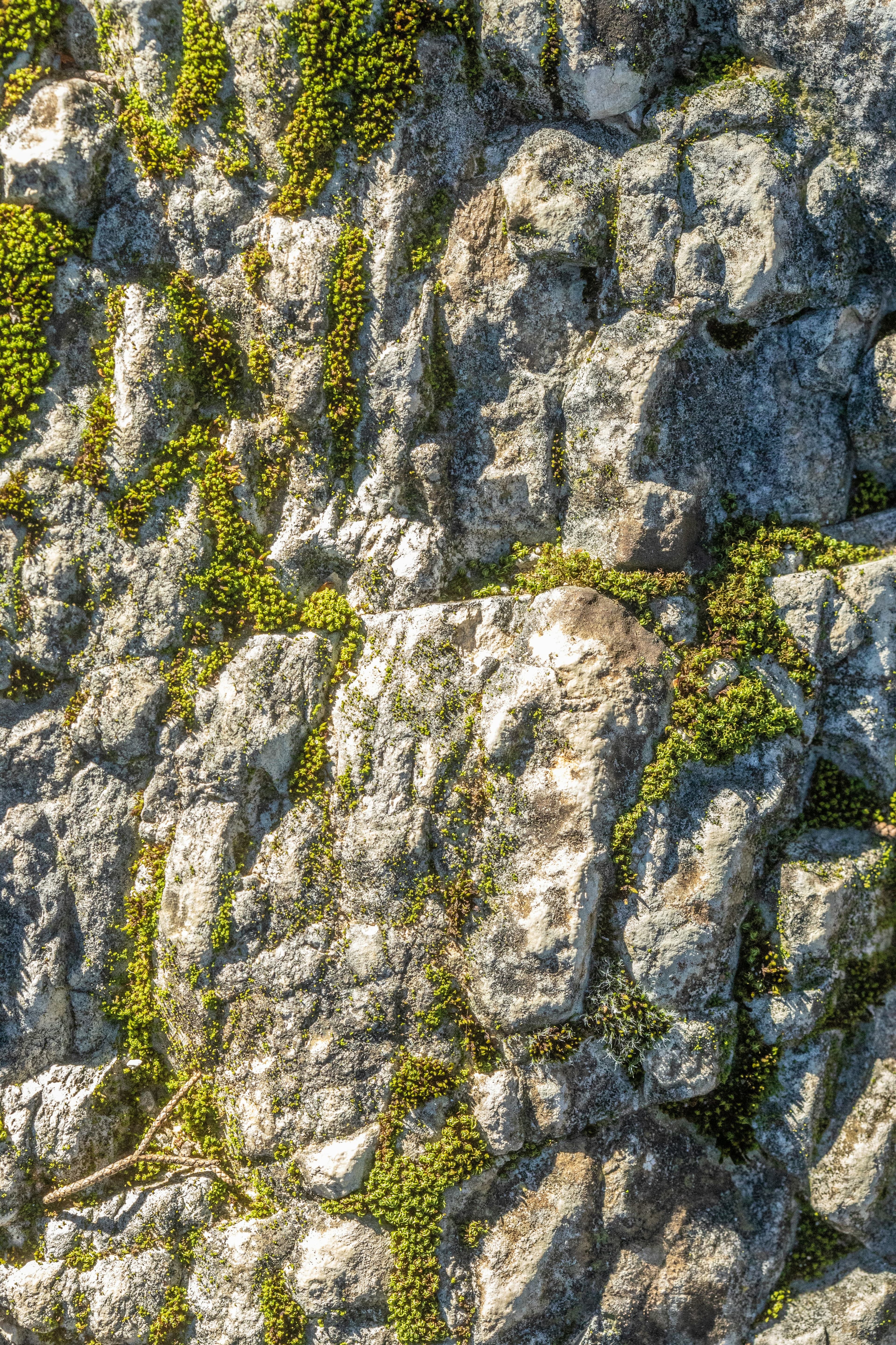 Stone wall, rebuilt